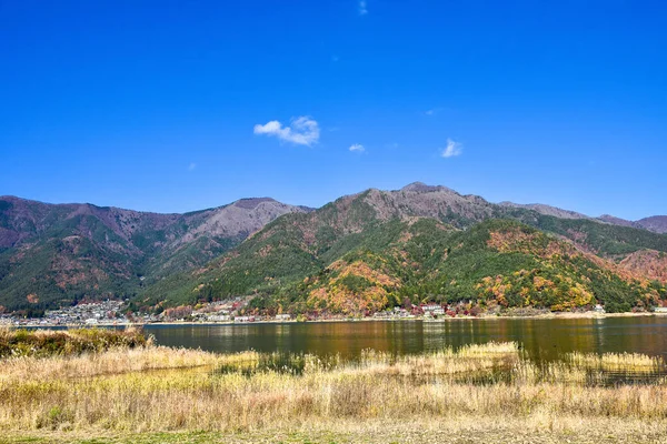 Autumn Leaves Kawaguchiko Lagoon Yakisaki Park Japan Fujisan Mountain — Stock Photo, Image