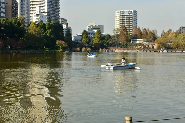 Tokio Japonia Listopada 2018 Niezidentyfikowane Wiele Osób Spaceruje Parku Ueno — Zdjęcie stockowe