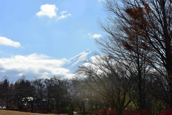 Yakisaki Parkındaki Kawaguchiko Gölünde Sonbahar Yaprakları Fujisan Dağı — Stok fotoğraf