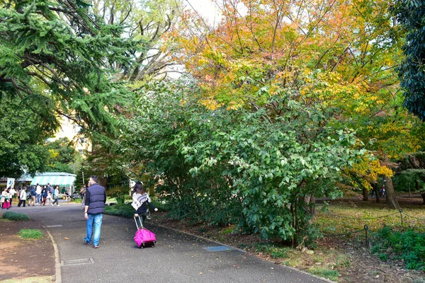 東京都2019年11月27日確認されていない多くの人々が新宿御苑を歩いていて 庭の秋の木 日差しの日の秋の森を見ています — ストック写真