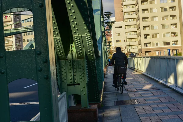 Tokio Japón Noviembre 2018 Sol Brilla Puente Del Río Sumida — Foto de Stock