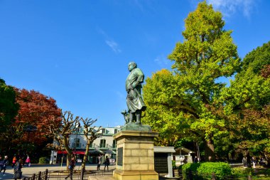 Tokyo, Japonya. 27 Kasım 2019 Tanımlanamayan Görüntü. Birçok insan Ueno parkında yürüyor ve sonbahar ağacını izliyor..