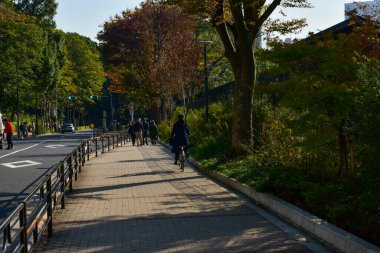 Tokyo, Japonya 27 Kasım 2018 Kimliği belirsiz birçok insan Ueno parkında yürüyor ve bahçedeki sonbahar ağacını izliyor. .