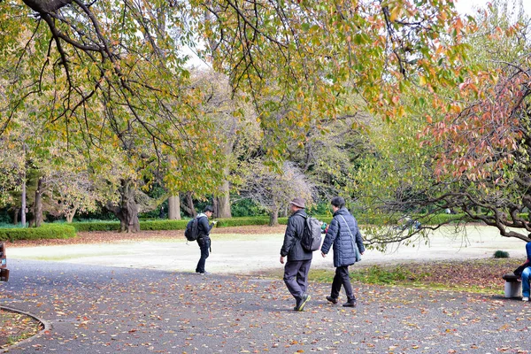 Tokyo Japan November 2019 Unidentified Many People Walking Shinjuku Gyoen — Stock Photo, Image