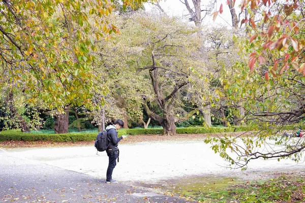 Tokio Japan November 2019 Unbekannte Gehen Shinjuku Gyoen Nationalgarten Spazieren — Stockfoto