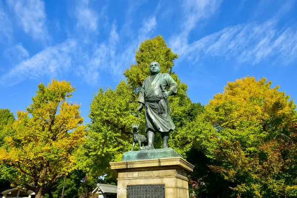 Tokyo, Japonya. 27 Kasım 2019 Tanımlanamayan Görüntü. Birçok insan Ueno parkında yürüyor ve sonbahar ağacını izliyor..