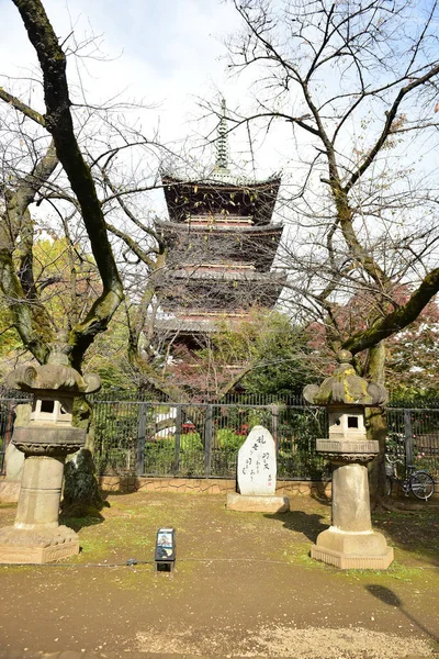 Tokio Japonia Listopada 2019 Niezidentyfikowany Smuga Wiele Osób Spaceruje Parku — Zdjęcie stockowe