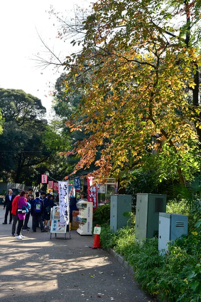 Токио Япония Ноября 2018 Неопознанное Множество Людей Гуляют Парку Уэно — стоковое фото