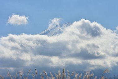 Yakisaki parkındaki Kawaguchiko gölünde sonbahar yaprakları. Fujisan dağı..