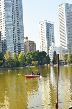 Tokyo, Japonya 27 Kasım 2018 Kimliği belirsiz birçok insan Ueno parkında yürüyor ve bahçedeki sonbahar ağacını izliyor. .