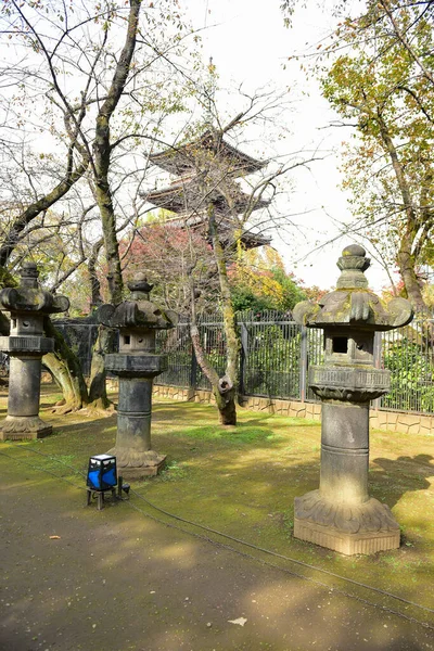 Tokyo Japonya Kasım 2019 Tanımlanamayan Görüntü Birçok Insan Ueno Parkında — Stok fotoğraf