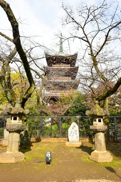 Tokyo Giappone Novembre 2019 Sfocatura Non Identificata Molte Persone Camminano — Foto Stock