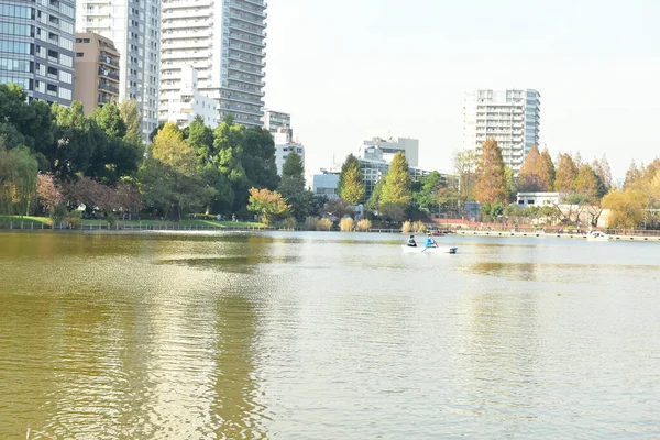 日本东京2018年11月27日身份不明的许多人正在植树公园散步 观赏着花园里的秋树 — 图库照片