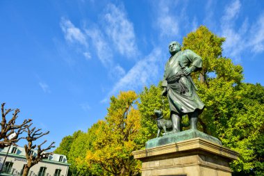 Tokyo, Japonya. 27 Kasım 2019 Tanımlanamayan Görüntü. Birçok insan Ueno parkında yürüyor ve sonbahar ağacını izliyor..