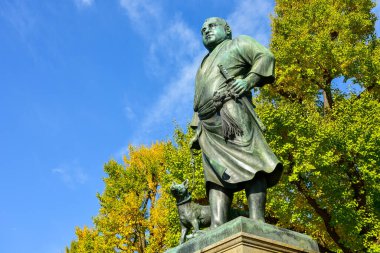 Tokyo, Japonya. 27 Kasım 2019 Tanımlanamayan Görüntü. Birçok insan Ueno parkında yürüyor ve sonbahar ağacını izliyor..