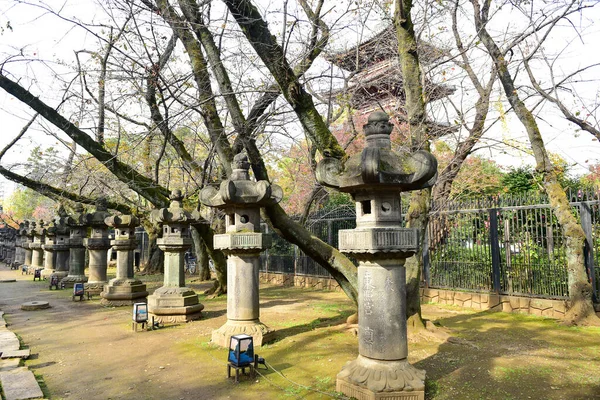 Tokio Japonsko Listopad 2019 Neidentifikovaná Skvrna Parku Ueno Chodí Mnoho — Stock fotografie