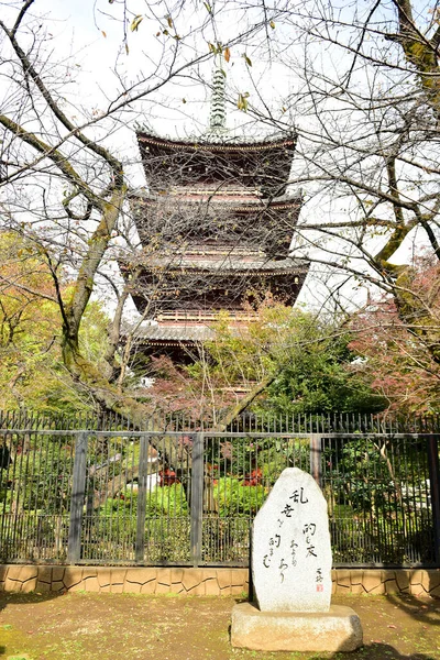 東京都2019年11月27日確認されていないぼかし多くの人が上野公園を歩いていて 庭の秋の木 日差しの日の秋の森を見ています — ストック写真