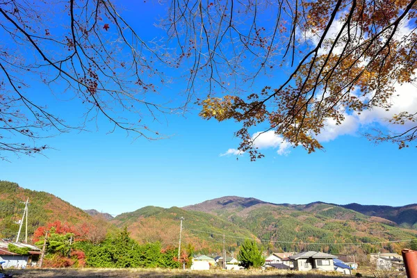 山梨日本2018年11月23日確認されていない秋の紅葉 パターンフルぼやけた背景 — ストック写真