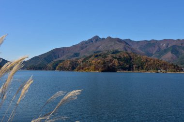 Yakisaki parkındaki Kawaguchiko gölünde sonbahar yaprakları. Fujisan dağı..