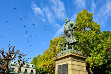 Tokyo, Japonya. 27 Kasım 2019 Tanımlanamayan Görüntü. Birçok insan Ueno parkında yürüyor ve sonbahar ağacını izliyor..
