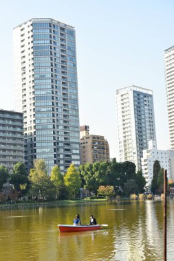 Tokyo, Japonya 27 Kasım 2018 Kimliği belirsiz birçok insan Ueno parkında yürüyor ve bahçedeki sonbahar ağacını izliyor. .
