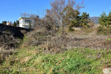 23 Kasım 2018 'de Japonya' nın kırsal kesimindeki bir köyde soğuk havada.