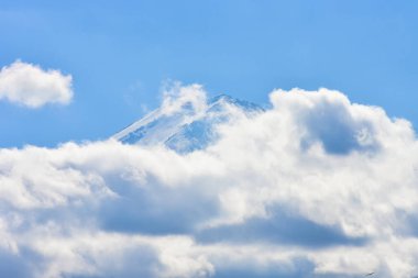 Yakisaki parkındaki Kawaguchiko gölünde sonbahar yaprakları. Fujisan dağı..