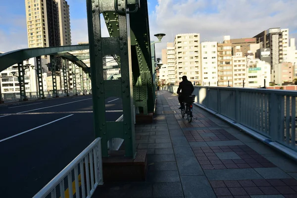 Τόκιο Ιαπωνία Νοεμβρίου 2018 Ήλιος Λάμπει Στη Γέφυρα Του Ποταμού — Φωτογραφία Αρχείου