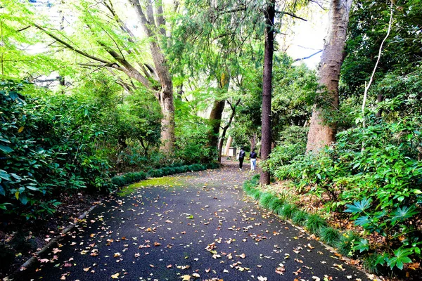 Tokyo Japan November 2019 Άγνωστος Πολλοί Άνθρωποι Περπατούν Στον Εθνικό — Φωτογραφία Αρχείου