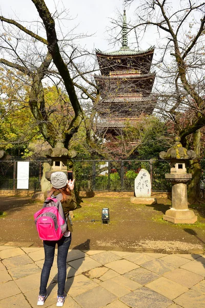 東京都2019年11月27日確認されていないぼかし多くの人が上野公園を歩いていて 庭の秋の木 日差しの日の秋の森を見ています — ストック写真