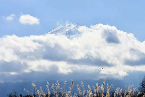 Yakisaki parkındaki Kawaguchiko gölünde sonbahar yaprakları. Fujisan dağı..
