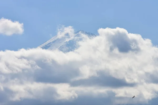 秋の紅葉 河口湖ラグーンの屋崎公園 Japan Fujisan山 — ストック写真