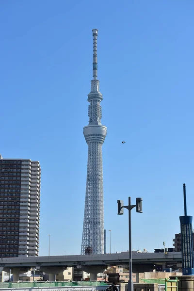 Tokio Japón Noviembre 2018 Edificios Edificios Japoneses Identificados Tokio —  Fotos de Stock