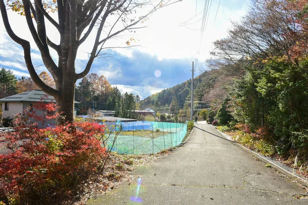 秋は太陽の下で葉 パターンフルぼやけた背景 — ストック写真