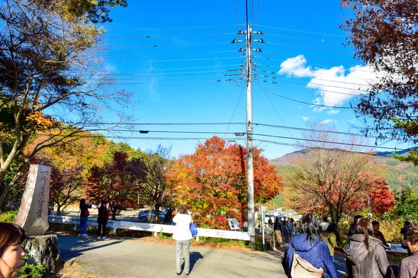 山梨日本2018年11月23日確認されていない秋の紅葉 パターンフルぼやけた背景 — ストック写真