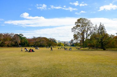 Tokyo, Japonya 27 Kasım 2019 Kimliği belirlenemeyen birçok insan Shinjuku Gyoen Ulusal Bahçesinde yürüyor ve sonbahar ağacını seyrediyor..