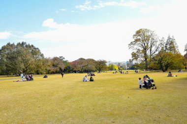 Tokyo, Japonya 27 Kasım 2019 Kimliği belirlenemeyen birçok insan Shinjuku Gyoen Ulusal Bahçesinde yürüyor ve sonbahar ağacını seyrediyor..
