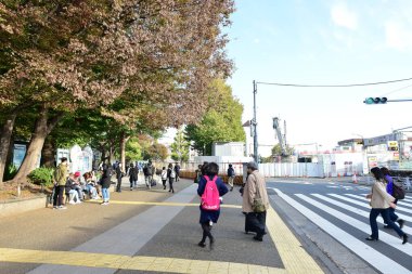 Chon Buri Tayland 01 Ağustos 2019 Görüntü Japon şirketi çalışanlarını 2019 Plaj Ekibi Mükemmellik Ekibi çalışmalarına götürüyor.