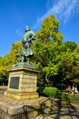Tokyo, Japonya. 27 Kasım 2019 Tanımlanamayan Görüntü. Birçok insan Ueno parkında yürüyor ve sonbahar ağacını izliyor..