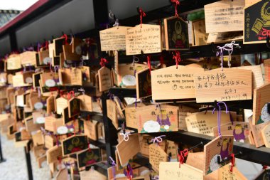 Tokyo, Japonya. 27 Kasım 2019 Tanımlanamayan Görüntü. Birçok insan Ueno parkında yürüyor ve sonbahar ağacını izliyor..