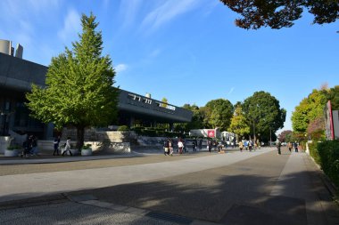Tokyo, Japonya. 27 Kasım 2019 Tanımlanamayan Görüntü. Birçok insan Ueno parkında yürüyor ve sonbahar ağacını izliyor..
