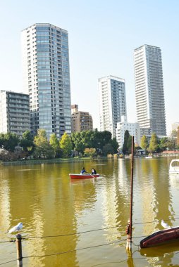Tokyo, Japonya 27 Kasım 2018 Kimliği belirsiz birçok insan Ueno parkında yürüyor ve bahçedeki sonbahar ağacını izliyor. .