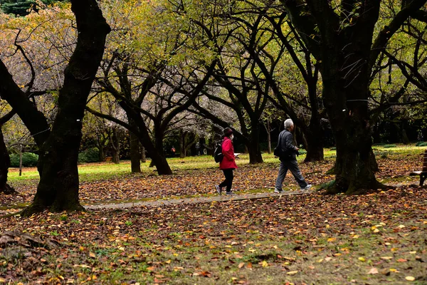 Tokio Japan November 2019 Unbekannte Gehen Shinjuku Gyoen Nationalgarten Spazieren — Stockfoto