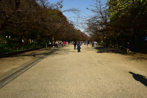 Токио Япония Ноября 2018 Неопознанное Множество Людей Гуляют Парку Уэно — стоковое фото