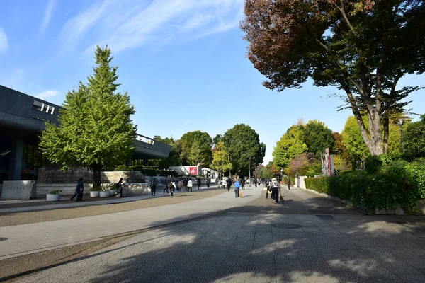 Tokió Japán November 2019 Azonosítatlan Maszat Sokan Sétálnak Ueno Parkban — Stock Fotó