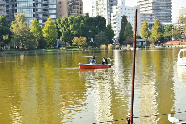 Tokio Japón Noviembre 2018 Muchas Personas Identificadas Están Caminando Parque — Foto de Stock