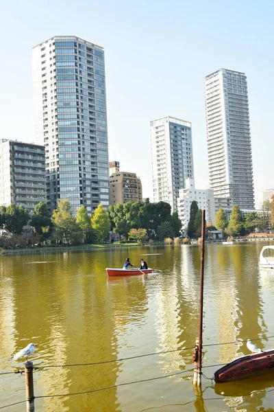 Tokyo, Japonya 27 Kasım 2018 Kimliği belirsiz birçok insan Ueno parkında yürüyor ve bahçedeki sonbahar ağacını izliyor. .