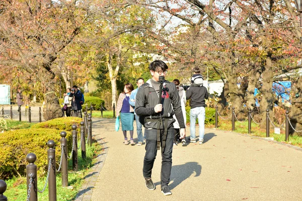 Tokyo Japonya Kasım 2018 Kimliği Belirsiz Birçok Insan Ueno Parkında — Stok fotoğraf
