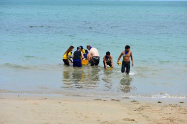 Chon Buri Tayland 01 Ağustos 2019 Görüntü Japon şirketi çalışanlarını 2019 Plaj Ekibi Mükemmellik Ekibi çalışmalarına götürüyor.