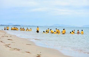 Chon Buri Tayland bulanık Japon şirketi çalışanlarını 2019 Plaj Ekibi Mükemmellik Ekibi çalışmalarına götürüyor.